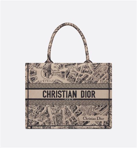 dior plan de paris bag